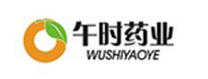 湖北午時藥業股份有(yǒu)限公司